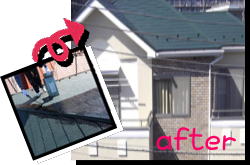 �_�ސ���؎s�̓h���H��